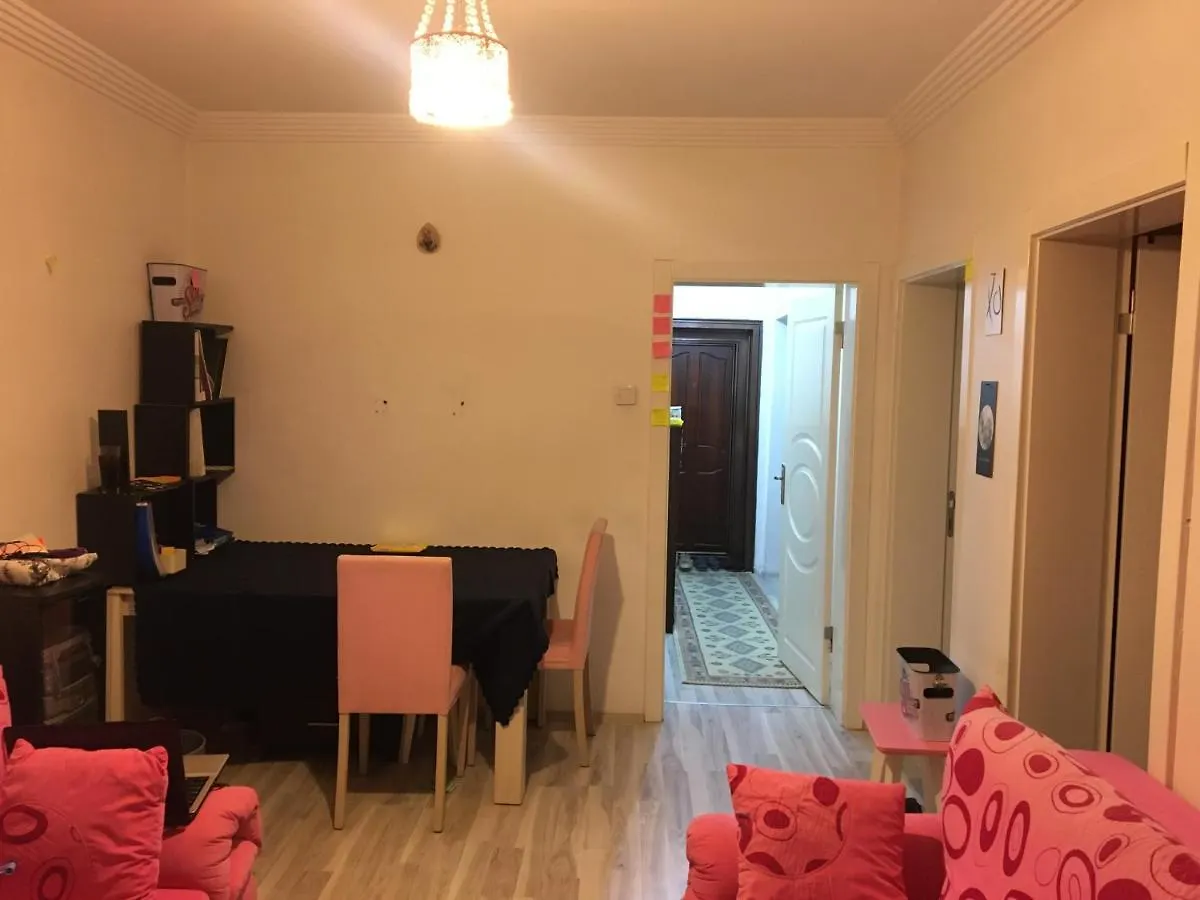 Kurtulus Park Private-Shared Apartment With Garden View Accommodatie bij particulieren